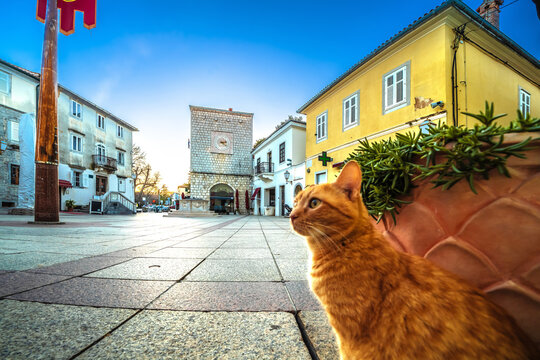 Historic Adriatic town of Krk main square view, Island of Krk
