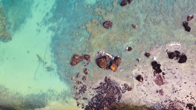 An aerial top-down video of clear turquoise water meeting a dark rocky shoreline and lush tropical forest on S&atilde;o Tom&eacute; Island, S&atilde;o Tom&eacute; and Pr&iacute;ncipe