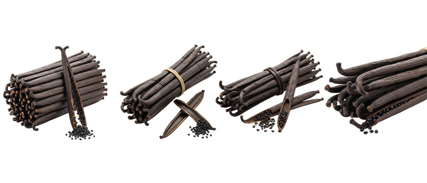 A collection of dried vanilla beans arranged in bundles on a white background.