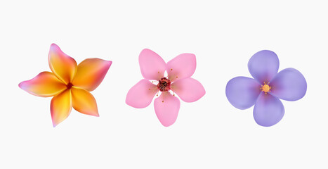 Obraz premium Spring flowers blossoms set 3D vector illustration. Flowers red, pink, and blue flowers. Gerbera, sakura, flower with pink petals isolated on white. Beautiful flower icon set