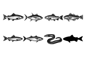 Fototapeta premium Collection of diverse fish and eel illustrations in a vintage engraving style