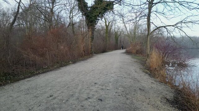 Drone moving backwards over a dirt path in the woods.