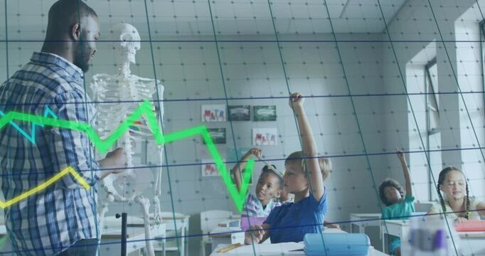 Male teacher asking anatomy quiz, pointing at skeleton, graphs pulsing over students raising hands