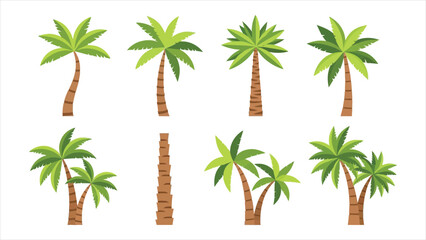 Obraz premium Palm Trees Isolated on White Background, Beautiful Vector Palm Tree Set Illustration