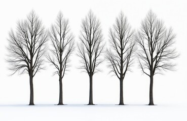 Obraz premium Group of bare winter trees stand on white snowy ground. Thin branches spread against bright sky. Natural design elements with dark trunks and grey bark.