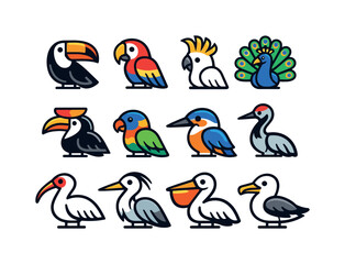 Fototapeta premium Tropical and exotic birds: toucan, macaw, cockatoo, peacock, hornbill, lorikeet, kingfisher, crane, ibis, heron, pelican, albatross