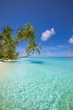 Tropical island beach with palm trees and turquoise ocean, soft sunset light, idyllic paradise destination, luxury summer vacation travel background