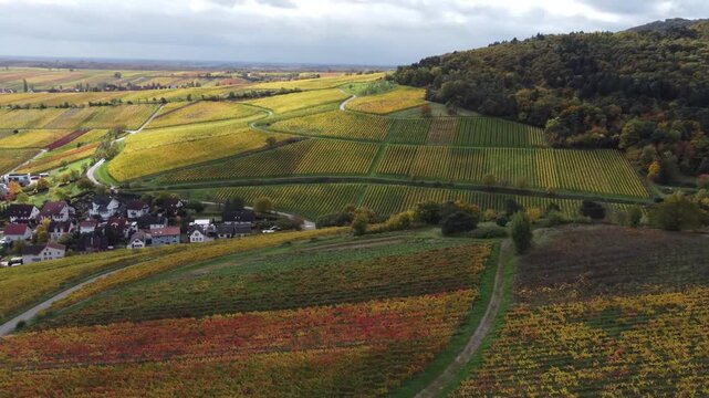 Goldene H&auml;nge und ziehende Wolken: Pfalz im Drohnenblick