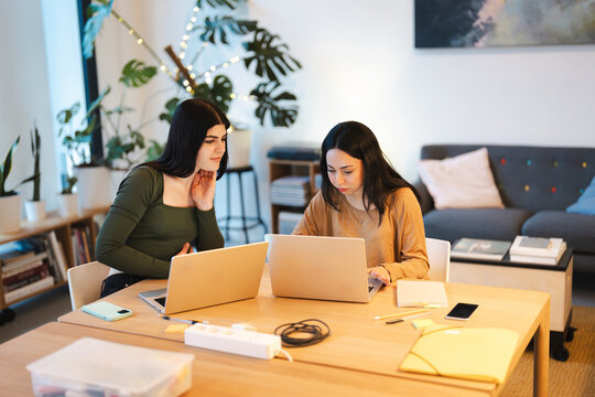 Two young women collaborate on laptops at a wooden table, surrounded by plants and a sofa, suggesting a study or work session.