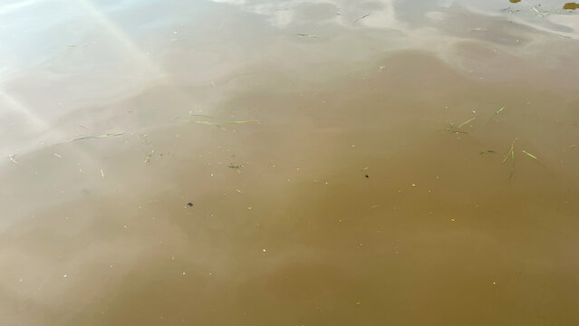 Murky brown water surface with ripples