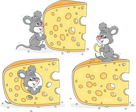 Funny grey little mouse gnawing a big piece of very tasty cheese at breakfast in a pantry, a set of vector cartoon illustrations on a white background