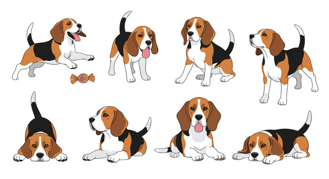 Diverse set of beagle puppies in different active and calm positions such as sitting, lying down, and playing with a toy.