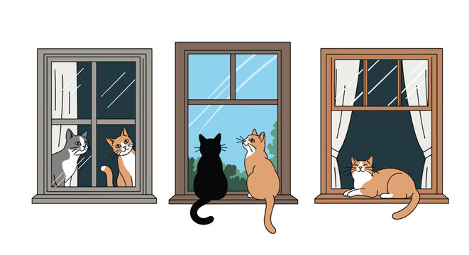 Collection of adorable cats in various poses looking out of three different windows during both daytime and nighttime settings.