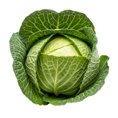 Obraz premium A vibrant green cabbage on transparent background