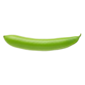 A single green pea pod on transparent background