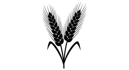 Two stalks of wheat displayed as a striking black silhouette © MIRAJ02