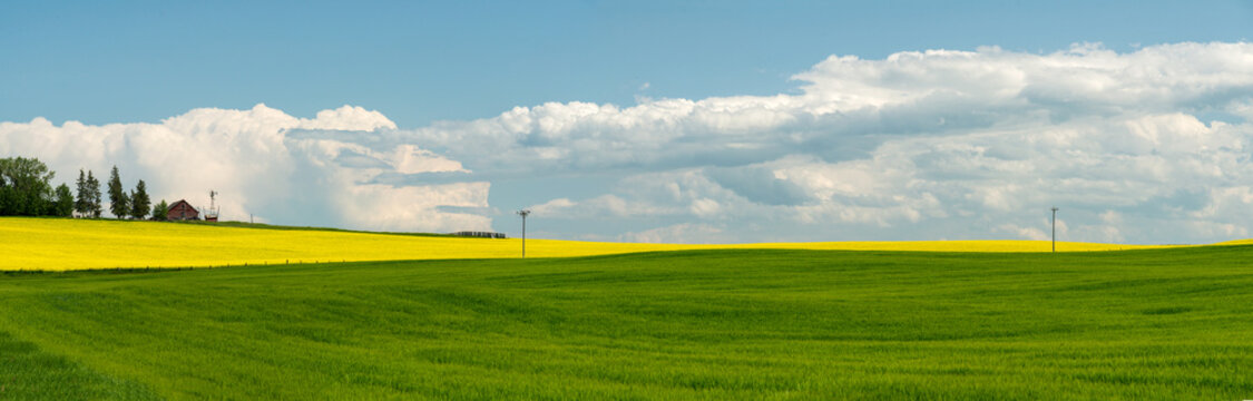 Canada, Alberta, Calgary.  North of Calgary
