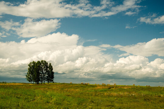 Canada, Alberta, Calgary.  Untended agricultural land in the small town of Cremona, north of Calgary.