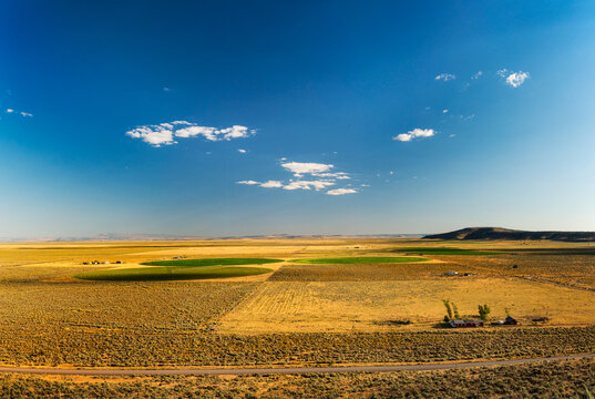 USA, OR, Burns.  Agricultural land irrigated in circular shapes, in the high desert of southern Oregon