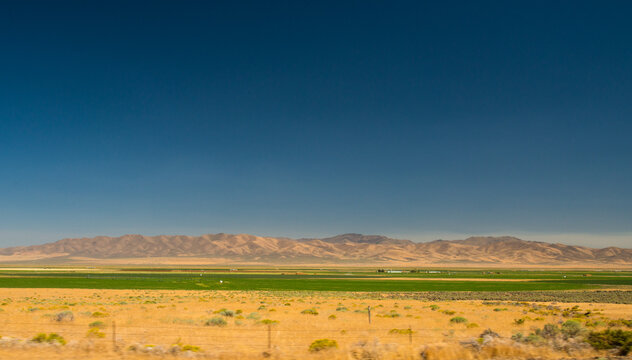 USA, NV, Battle Mountain.  Irrigated agricultural land in the high desert of northern Nevada.