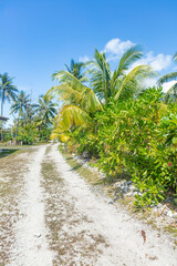 Obraz premium Route sur l'île de Mo'orea en Polynésie 