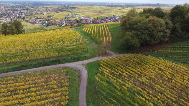 Weinbaupanorama: Birkweiler aus der Vogelperspektive