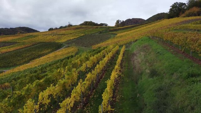 Wechselhaftes Wetter &uuml;ber goldenen Hanglagen
