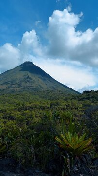 Conical Arenal Volcano landscape with tropical vegetation. Wide view of the Arenal Volcano peak with green forest and bromeliads in the foreground in Costa Rica.
