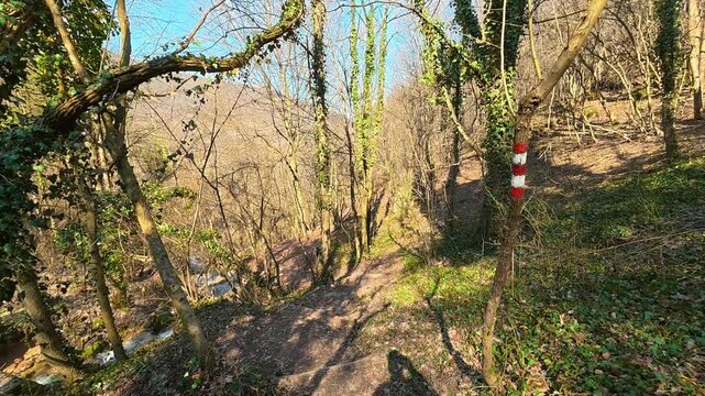 Walking Through Sunny Autumn Forest Trail Above a Stream POV. Ozren Mountain, Sokobanja region. Balkans, Serbia.