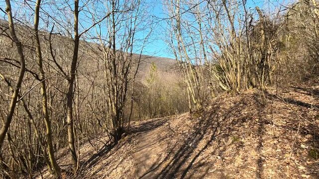 Walking Through Sunny Autumn Forest Trail. Ozren Mountain, Sokobanja region. Balkans, Serbia.
