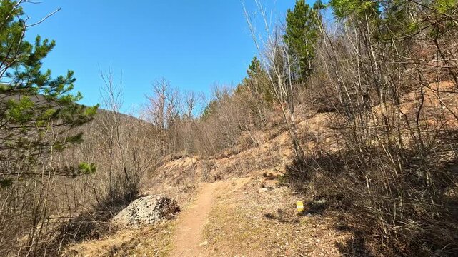 Walking Forest Trail to Dirt Road. Ozren Mountain, Sokobanja region. Balkans, Serbia.