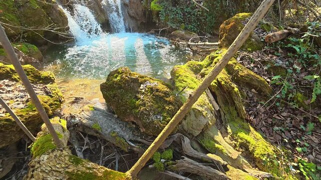 Walking Between Trees to Small Forest Waterfall &ndash; Slow Approach. Ozren Mountain, Sokobanja region. Balkans, Serbia.