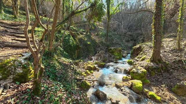 Forest Stream Beside Uphill Trail &ndash; Sunny Autumn Pan. Ozren Mountain, Sokobanja region. Balkans, Serbia.
