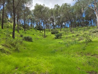 Obraz premium Ruta de senderismo en el Sierra Morena, Andujar