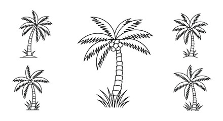 Simple black and white illustration of various tropical palm trees © MD REZAUL KARIM