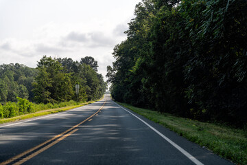 Obraz premium Nelson county, Virginia countryside rural in Blue Ridge mountains on cloudy summer day with long road, nobody and trees forest