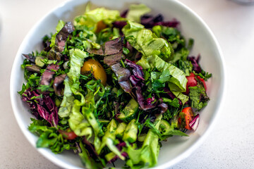 Naklejka premium Plain mixed salad vegetables on table white plate bowl with raddichio, lettuce, tomatoes and dill herbs
