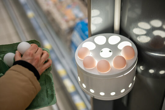 Unrecognizable female customer checking raw eggs contents in ovoscope device, using special station for candling product and detect defects inside egg, helpful method for fresh and healthy eating.