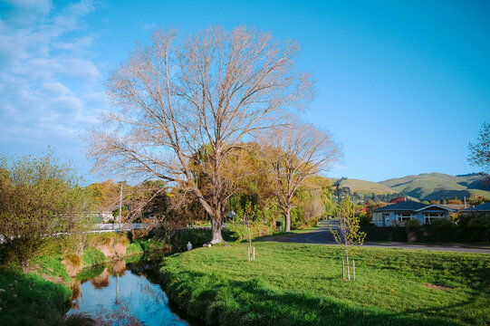 Christchurch, New Zealand: The Heathcote River winding through the leafy St. Martins neighborhood with the Port Hills in the distance.