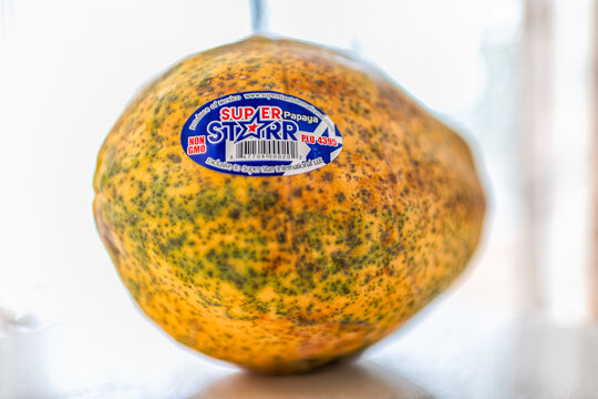 Roseland, USA - March 4, 2025: Super Starr International papaya orange ripe raw whole fruit product of Mexico imported with non gmo label