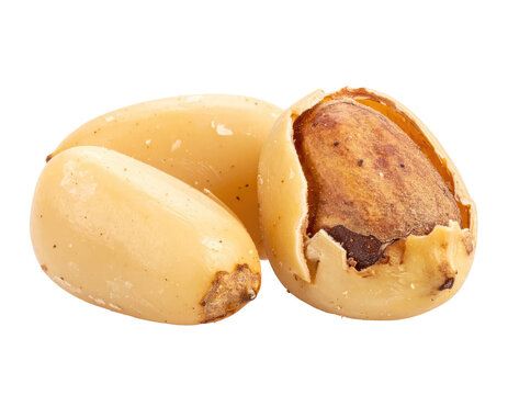 Close-up view of three light-colored, oval-shaped nuts, one partially shelled