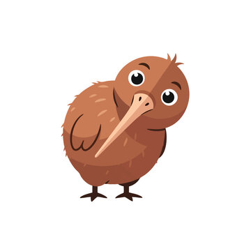 A cartoon vector illustration of a Kiwi Bird with a surprised expression, standing on a plain white background. Perfect for educational materials, wildlife designs, and New Zealand-themed