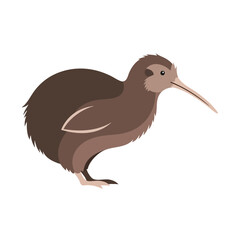 Fototapeta premium A brown Kiwi Bird Vector illustration standing on one leg, presented on a white background with earthy tones. Perfect for wildlife designs, educational materials, and conservation