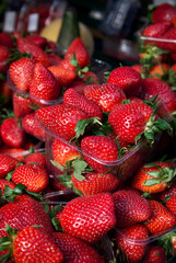 Fresh Strawberries in Plastic Containers at Market