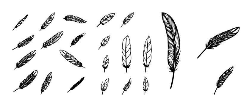 Feather icon set with simple black vector minimalist silhouettes featuring feather, icon, vector with design and graphics