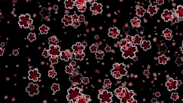 桜 花びら 小 枠あり 枠中あり 回転 下降 パターン01 紅梅色 ループ（黒背景）