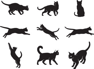 Burmese Cat Sleek Domestic Feline Silhouette © Ansar