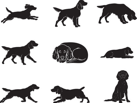 English Springer Spaniel Energetic Gun Dog Silhouette