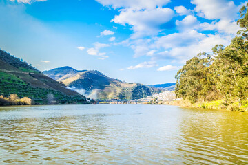 Douro wine valley with wineyards, Portugal, Unesco world heritage site © neirfy