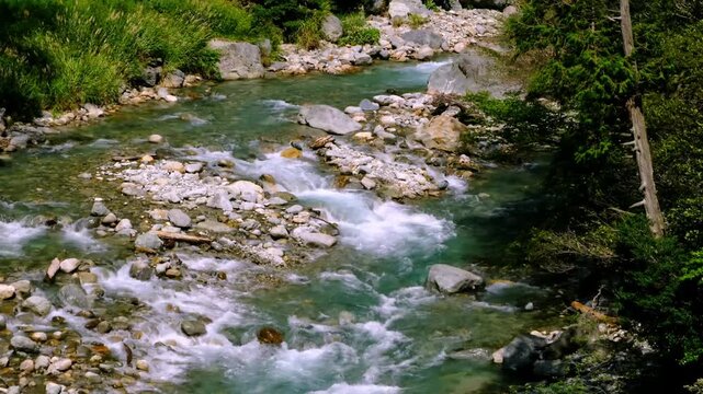 泡立つ渓流の流れ